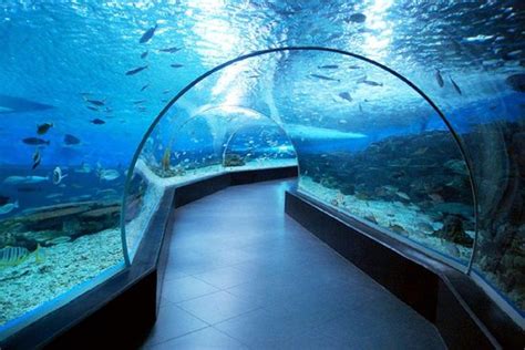 hotels near manila ocean park|⭐ Top 10 Hotels Near Manila Ocean Park in Manila for 2024.